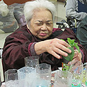  104.12.26-盆栽